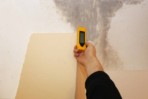 Best Emergency Mold Remediation  in Ballston Spa, NY